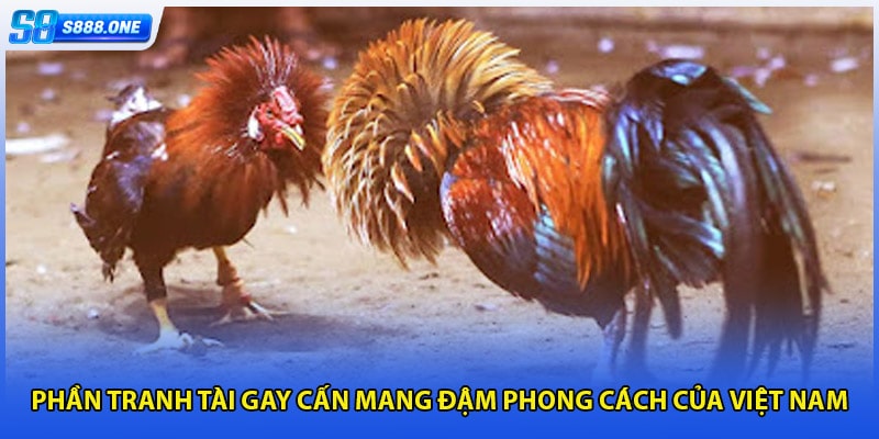 Phần tranh tài gay cấn mang đậm phong cách của Việt Nam